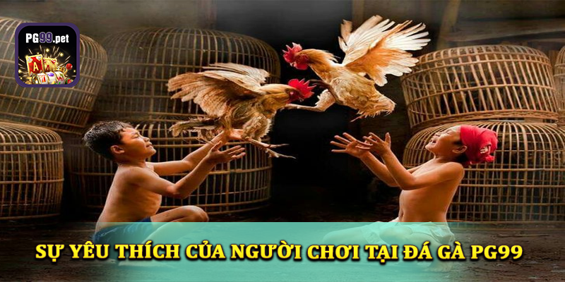 Những ưu điểm được nhiều người yêu thích tại đá gà PG99