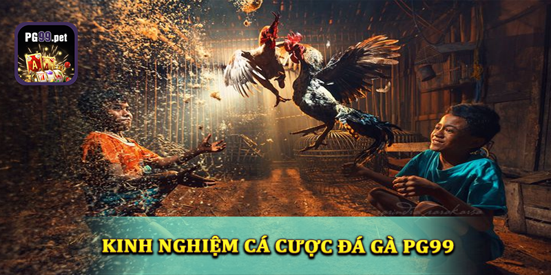 Kinh nghiệm lựa chọn cửa đá gà PG99 dành cho tân thủ